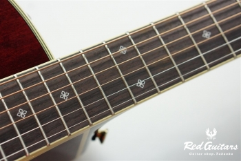 DMP551C WR - Wine Red